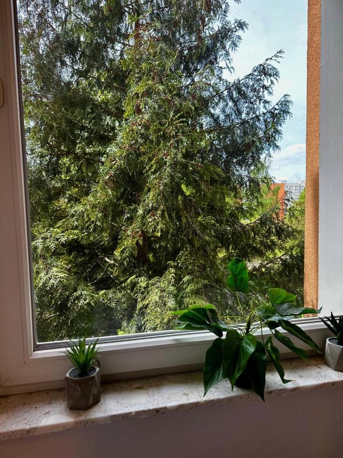 #3 Uroczy Pokoj Niedaleko Morza W Gdansku ! Bagian luar foto